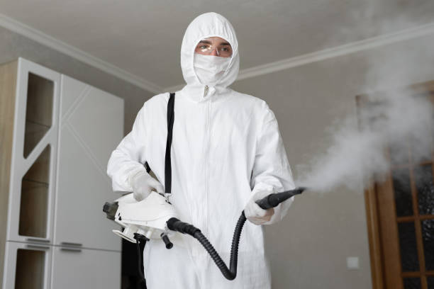 Best Emergency Mold Remediation  in Potomac Park, CA